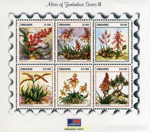 Sellos: 149559 MNH ZIMBABUE 2004 FLORA