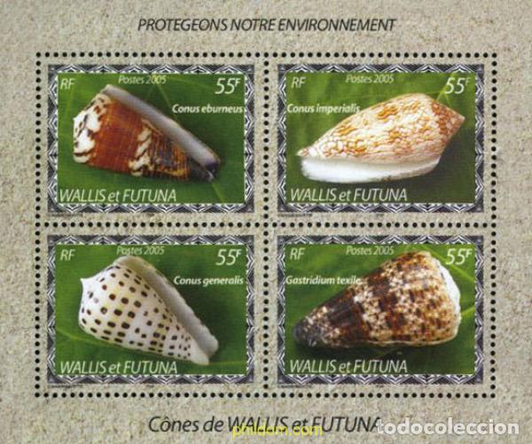 Sellos: 152838 MNH WALLIS Y FUTUNA 2005 CONCHAS