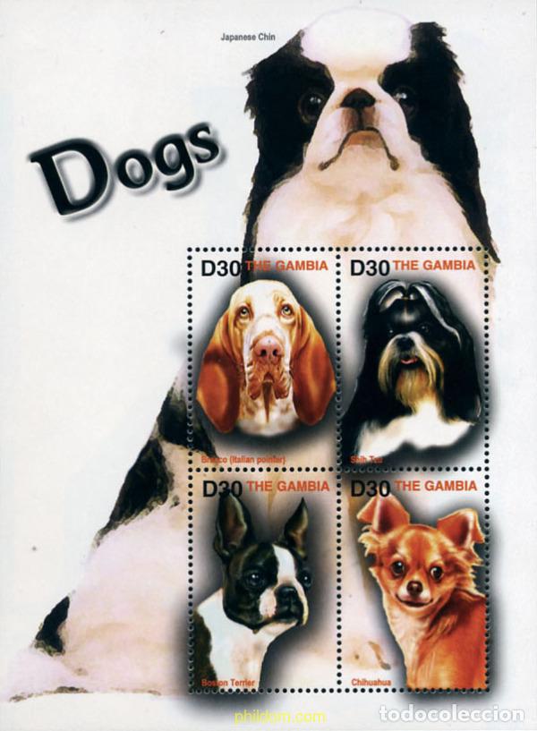 Sellos: 228513 MNH GAMBIA 2004 PERROS
