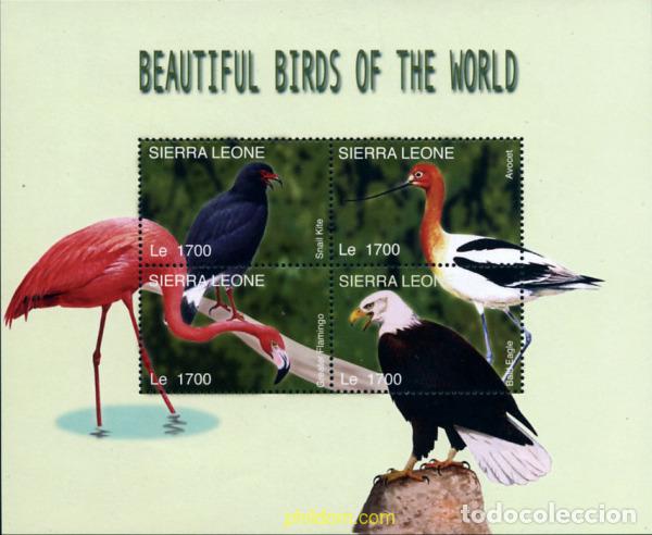 Sellos: 240178 MNH SIERRA LEONA 2004 AVES DEL MUNDO