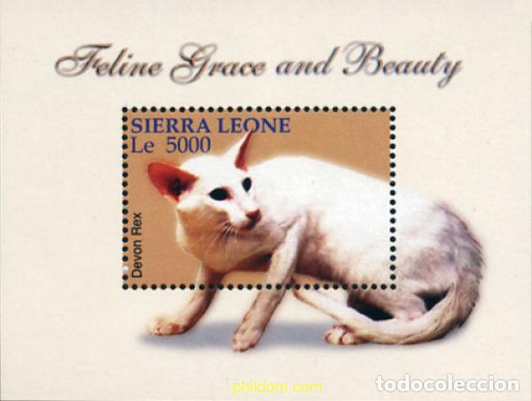 Sellos: 155115 MNH SIERRA LEONA 2004 GATOS