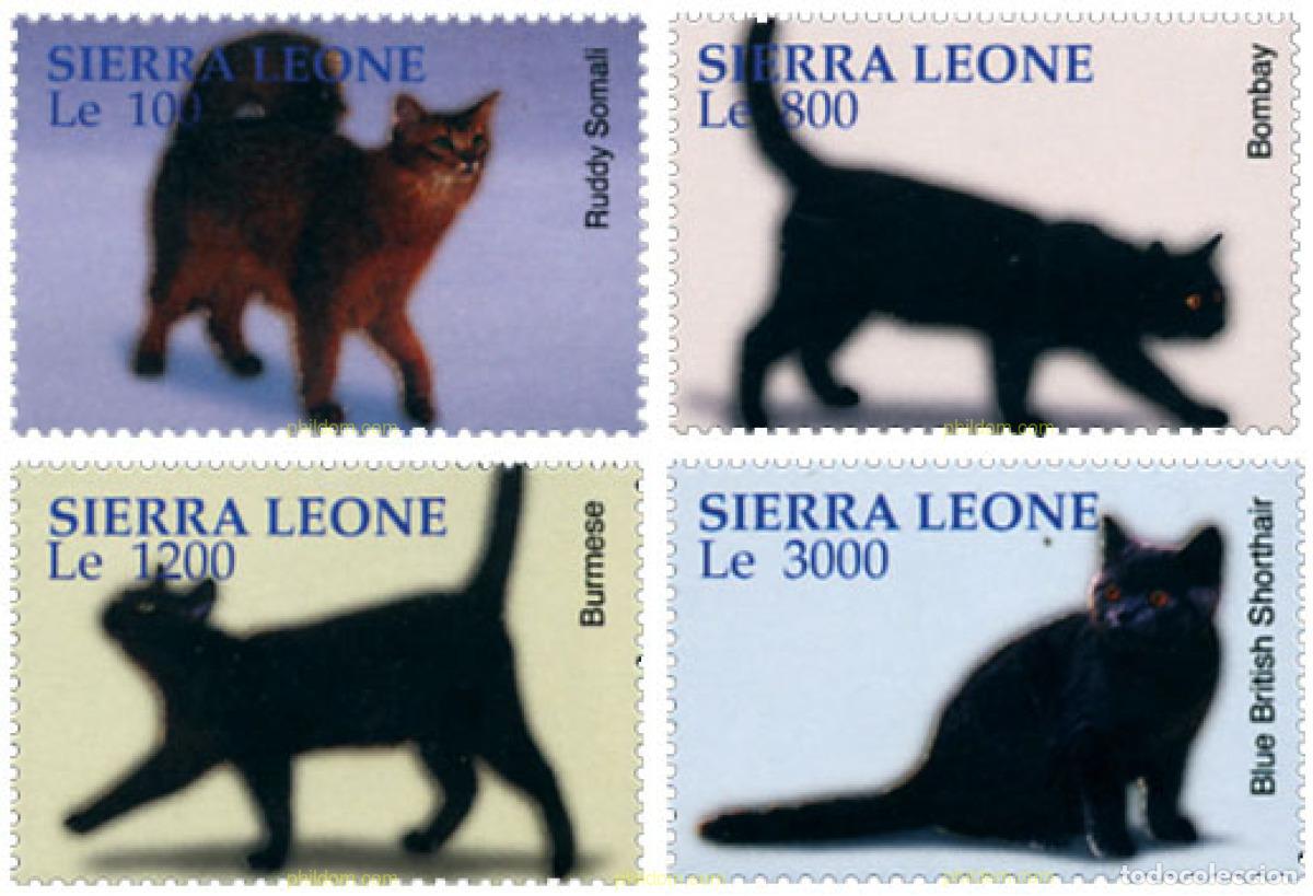 Sellos: 155113 MNH SIERRA LEONA 2004 GATOS