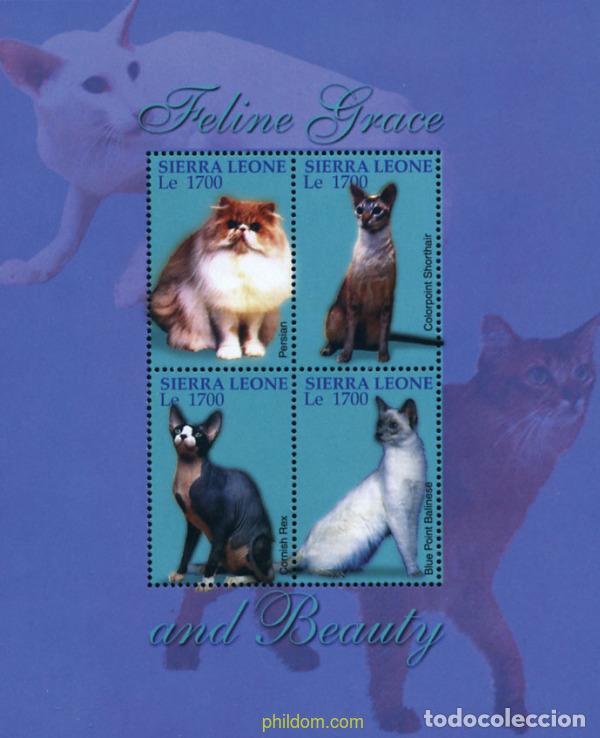 Sellos: 223062 MNH SIERRA LEONA 2004 GATOS
