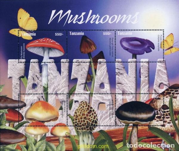 Sellos: 222639 MNH TANZANIA 2004 SETAS
