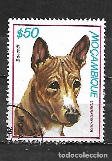 Sellos: 1979: MOZAMBIQUE Perros - Basenji (CTO)