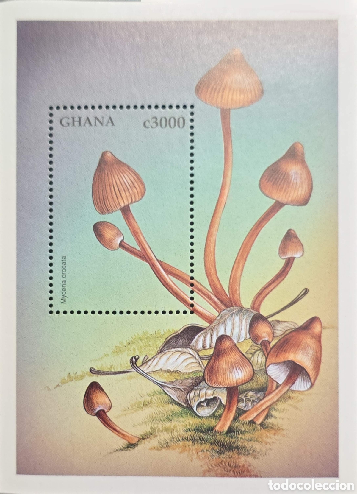 Sellos: CA)Ghana + 1990s + Botanical Issue + c3000 stamp depicting Mycena crocata mushrooms in natural habit
