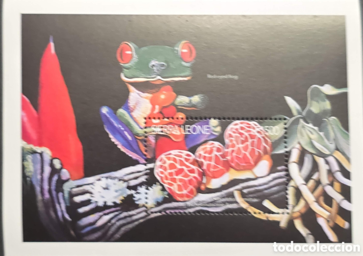 Sellos: CA)Sierra Leone + 1990s + Wildlife Issue + Le500 stamp depicting a vividly colored red‑eyed tree fro