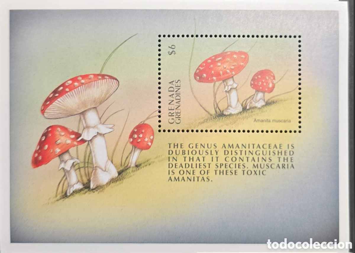 Sellos: CA)Grenada Grenadines + 1990s + Mushroom Issue + $6 stamp depicting Amanita muscaria with red caps a