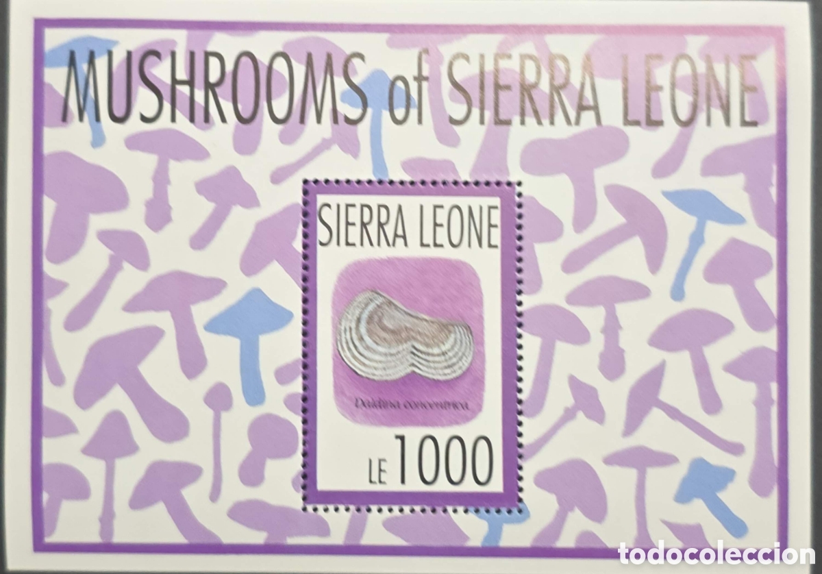 Sellos: CA)Sierra Leone + 1990s + Mushroom Issue + LE1000 stamp sheet titled &ldquo;Mushrooms of Sierra Leone,&rdquo; fe
