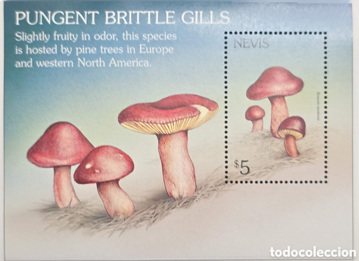Sellos: CA)Nevis + 1990s + Mushroom Issue + $5 stamp sheet depicting &ldquo;Pungent Brittle Gills&rdquo; with reddish‑br