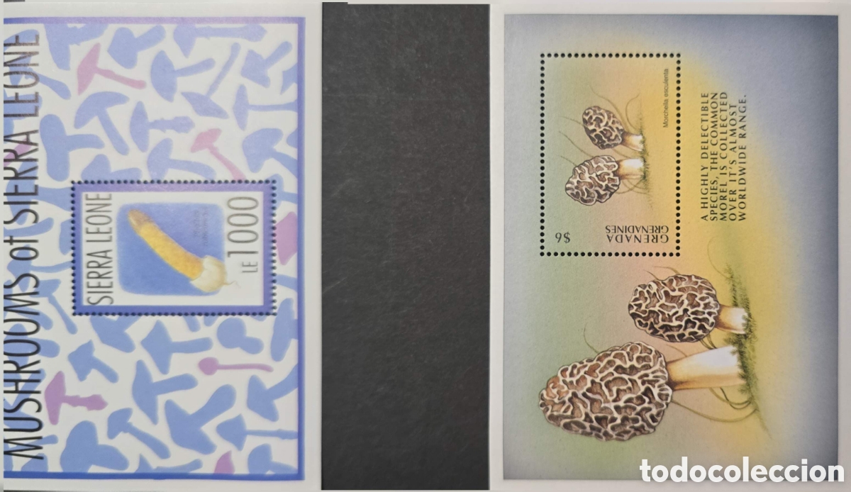 Sellos: CA)Sierra Leone + 1990s + Mushroom Issue + LE1000 stamp sheet titled &ldquo;Mushrooms of Sierra Leone,&rdquo; fe