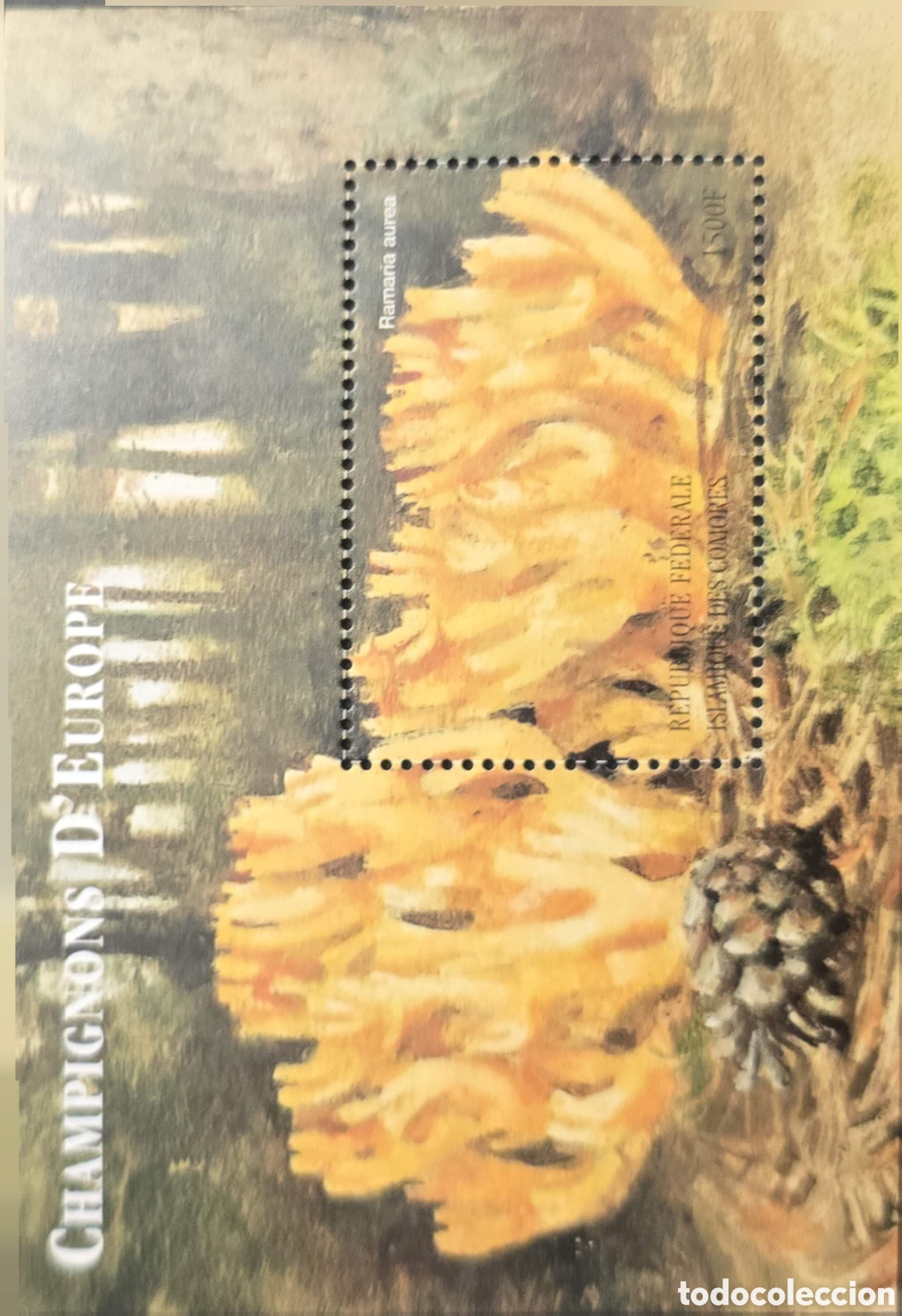 Sellos: CA)Comoros + 1990s + Mushroom Issue + 1500F stamp from &ldquo;Champignons d&rsquo;Europe&rdquo; series depicting Ramar