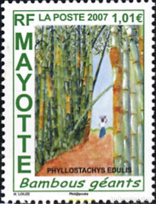 Sellos: 224259 MNH MAYOTTE 2007 BAMBUS GIGANTES
