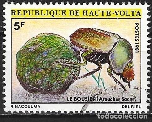 Sellos: Alto Volta 1981 - Mi 818 - YT 535 - Insecto cole&oacute;ptero