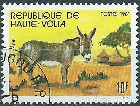 Sellos: Alto Volta 1981 - Mi 851 - YT 563 - Burro