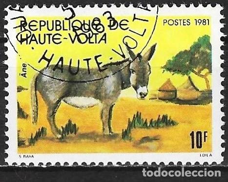 Sellos: Alto Volta 1981 - Mi 851 - YT 563 - Burro