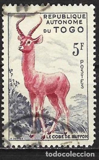 Sellos: Togo 1957 - Mi 233 - YT 267 - Fauna : Antelope