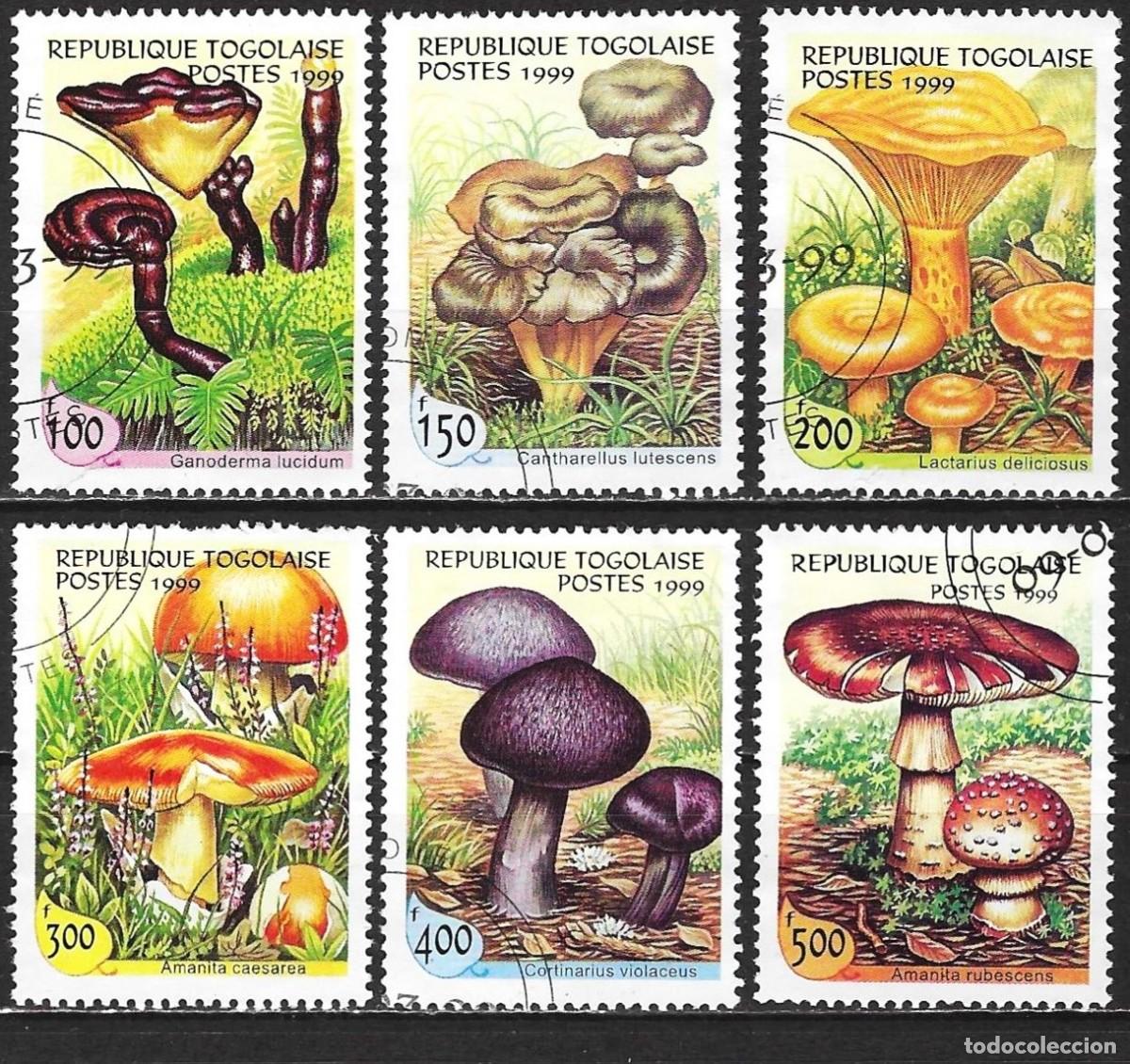 Sellos: Togo 1999 - Mi 2816 a 2921 - YT 1688G a 1688M - Seras ( Serie completa )