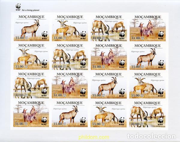Sellos: 242563 MNH MOZAMBIQUE 2010 PROTECCION AL HIPPOTRAGUS EQUINUS