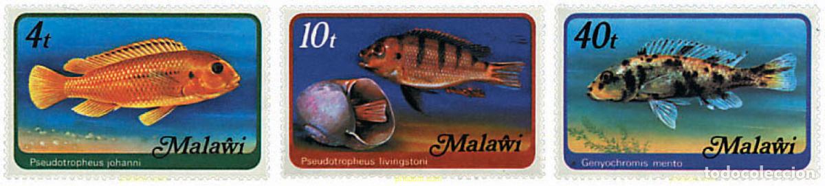 Sellos: 749532 MNH MALAWI 1977 PECES DE MALAWI