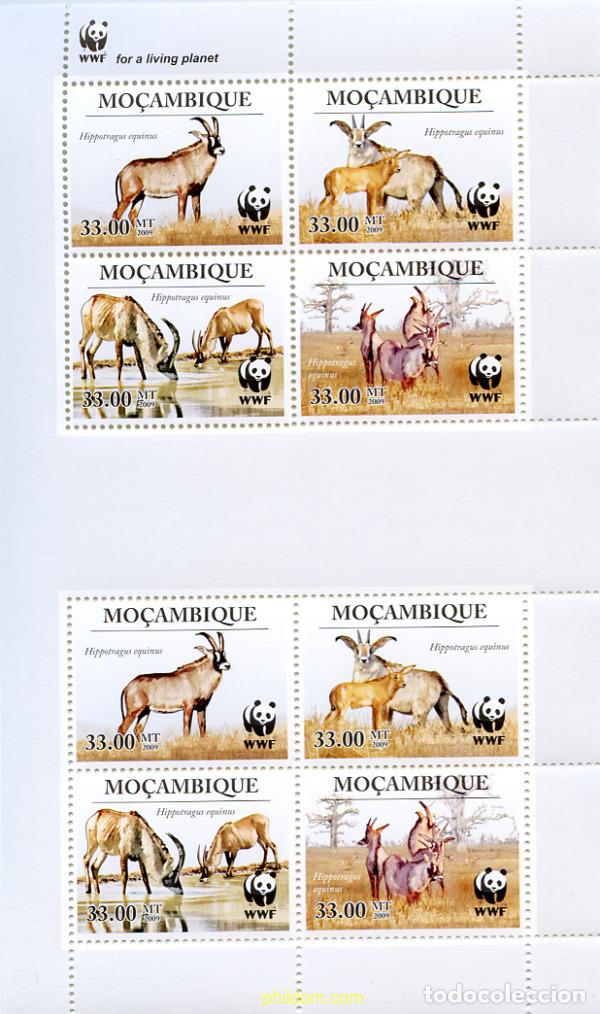 Sellos: 242559 MNH MOZAMBIQUE 2010 PROTECCION AL HIPPOTRAGUS EQUINUS