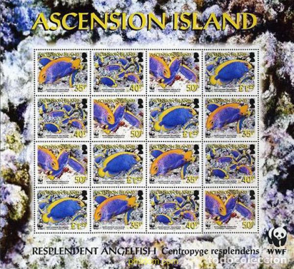 Sellos: 201540 MNH ASCENSION 2007 PECES