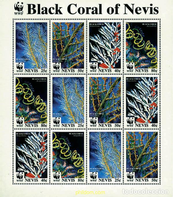 Sellos: 201915 MNH NEVIS 1994 CORALES NEGROS