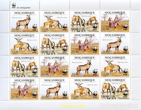 Sellos: 242558 MNH MOZAMBIQUE 2010 PROTECCION AL HIPPOTRAGUS EQUINUS