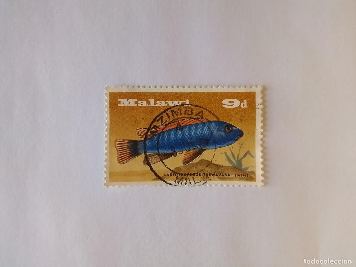 Sellos: A&Ntilde;O 1979 MALAWI SELLO USADO