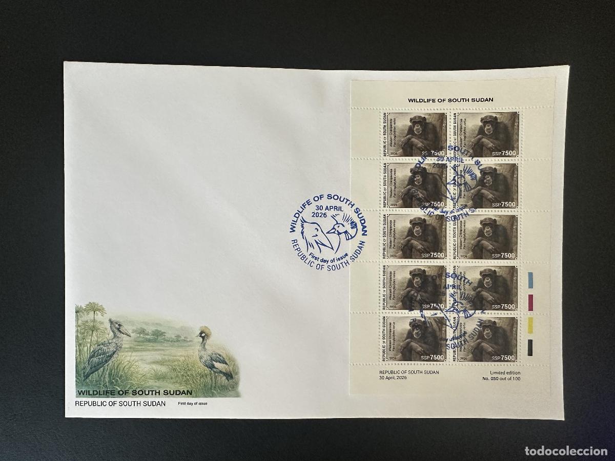 Briefmarken: Sud&aacute;n del Sur 2026 M/S FDC Chimpanc&eacute; fauna silvestre hoja edici&oacute;n limitada