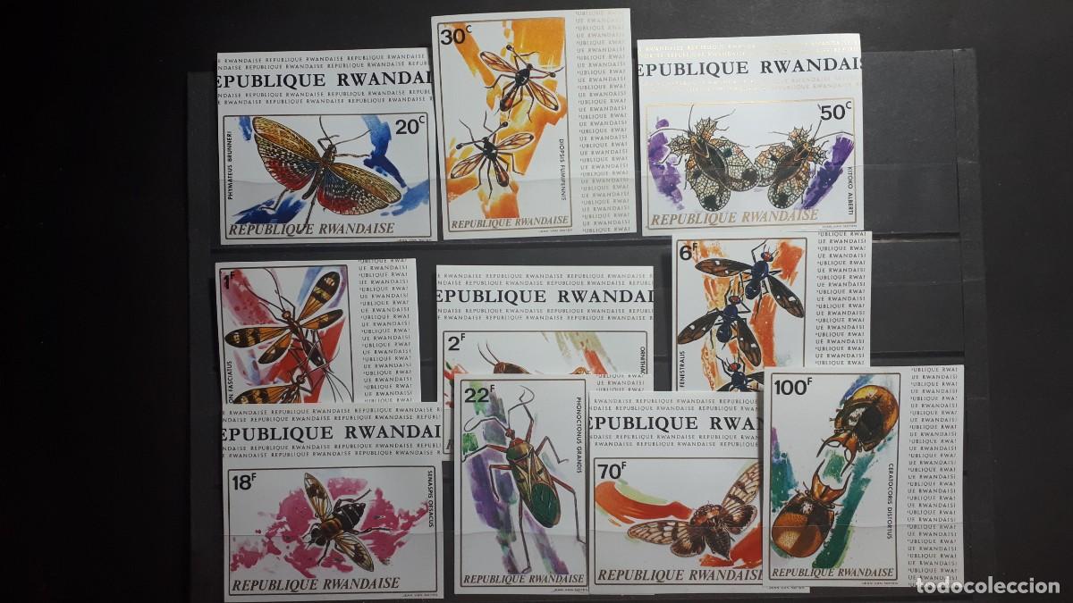 Sellos: RUANDA. FAUNA. A&Ntilde;O 1973. **. EDIFIL S.D. 501/10