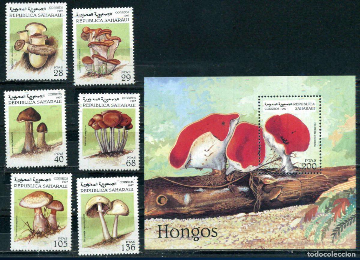 Sellos: RASD - Sahara - Rep&uacute;blica Saharaui 1997 Hongos (nuevos)