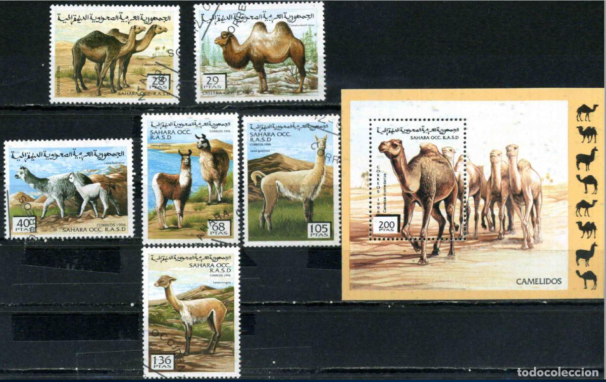 Sellos: RASD - Sahara Occ. 1996 Cam&eacute;lidos (obliterados)
