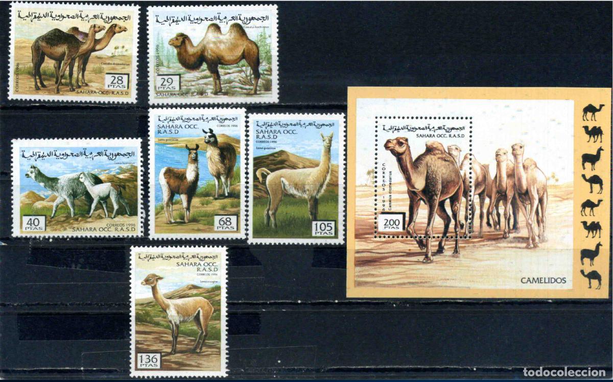 Sellos: RASD - Sahara Occ. 1996 Cam&eacute;lidos (nuevos)