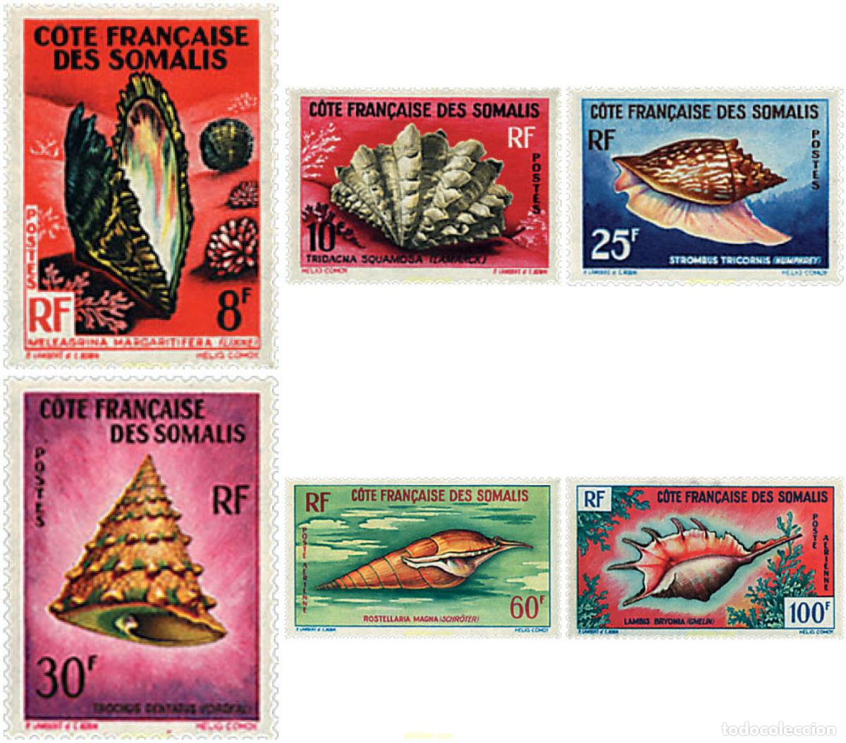 Sellos: 52798 MNH COSTA DE LOS SOMALIS 1962 CONCHAS