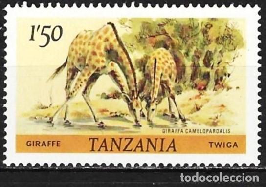 Sellos: Tanzania 1980 - Mi 168a - YT 170 - Fauna : Jirafas - MNH**