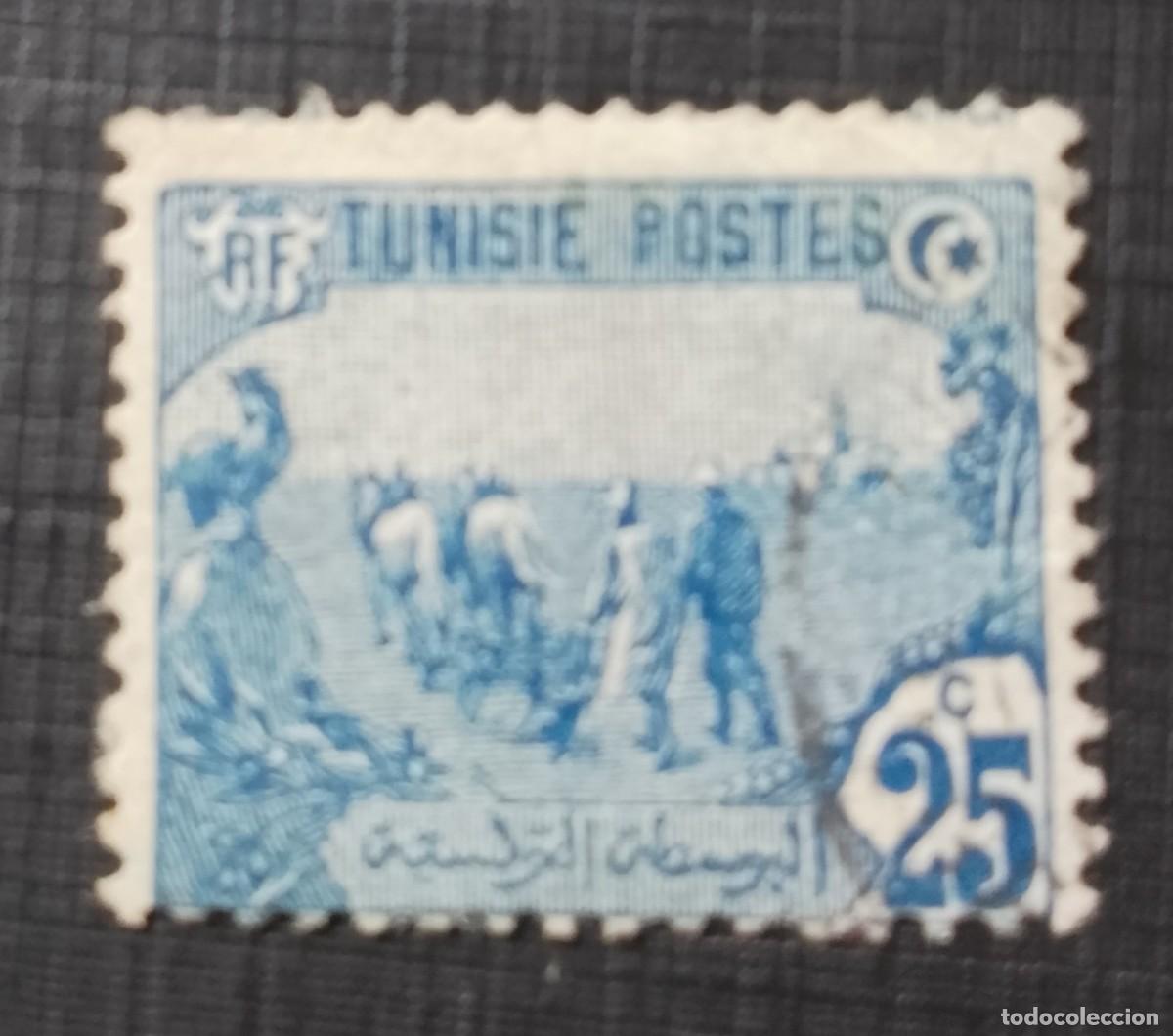 Sellos: TUNEZ - V/F 25 C - A&Ntilde;O 1912.1920 - LABRADOR