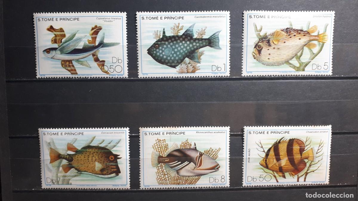 Sellos: SANTO TOM&Eacute; Y PRINCIPE. FAUNA. Peces.. A&Ntilde;O 1979. **. YVERT 561/5. A&eacute;reo 21