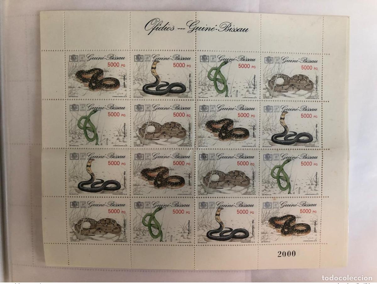 Sellos: Guinea-Bissau 1994 Mi. 1211-1214 Serpientes Schlangen Reptiles MNH**
