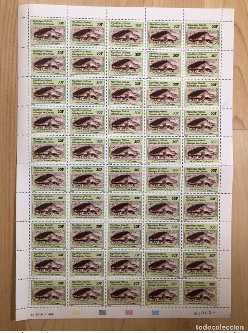 Sellos: Comoras 1995 Mi. 1123 Wildlife Turtle Schildkr&ouml;te Sheet Bogen MNH