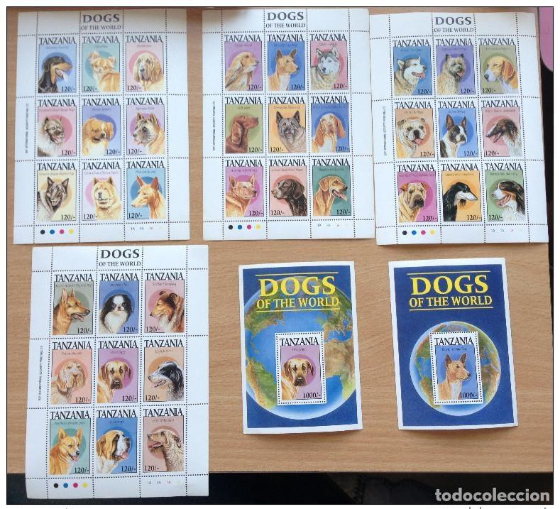 Sellos: Tanzania 1994 Perros del mundo Hunde Canin 4 hojas + 2 recuerdos MNH