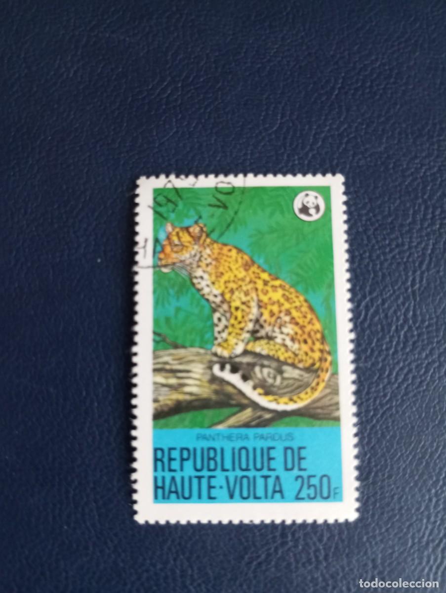 Sellos: ALTO VOLTA . FAUNA, LEOPARDO. 1975