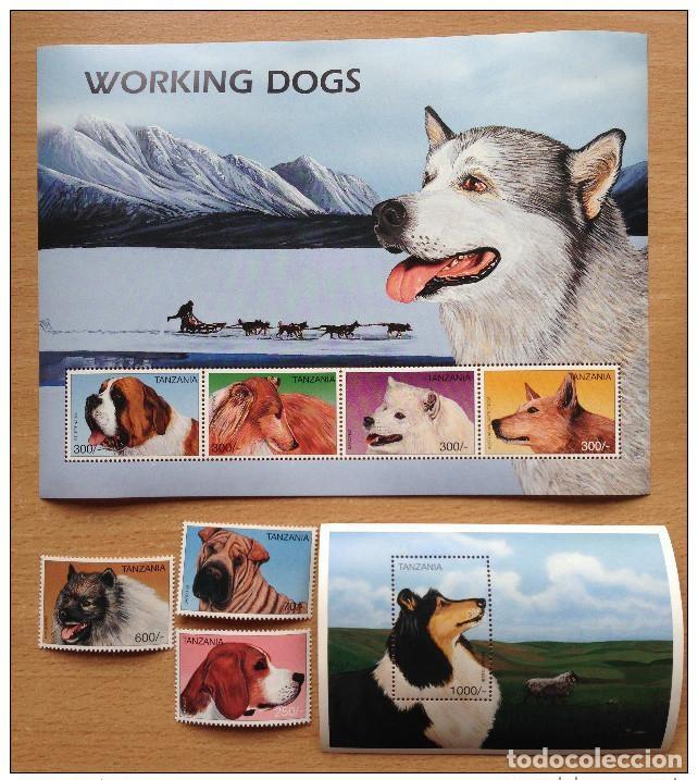 Sellos: Tanzania 1996 Dogs German Shepherd 3 sellos 1 hoja y de recuerdo MNH**