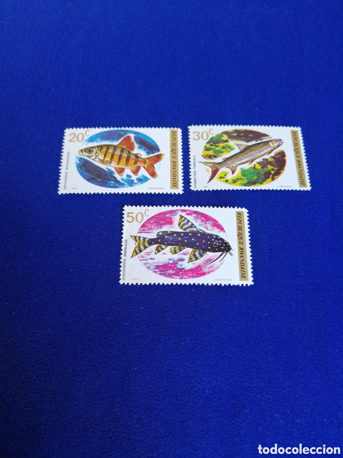 Sellos: REPUBLIQUE RWANDAISE - RUANDA LOTE PECES - PESCADOS SELLOS USADOS
