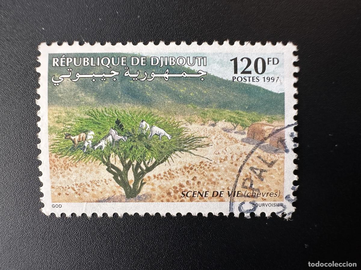Sellos: Djibouti Schibuti 1997 Mi. 643 obl. Escena de la vida: flora arb&oacute;rea rara.