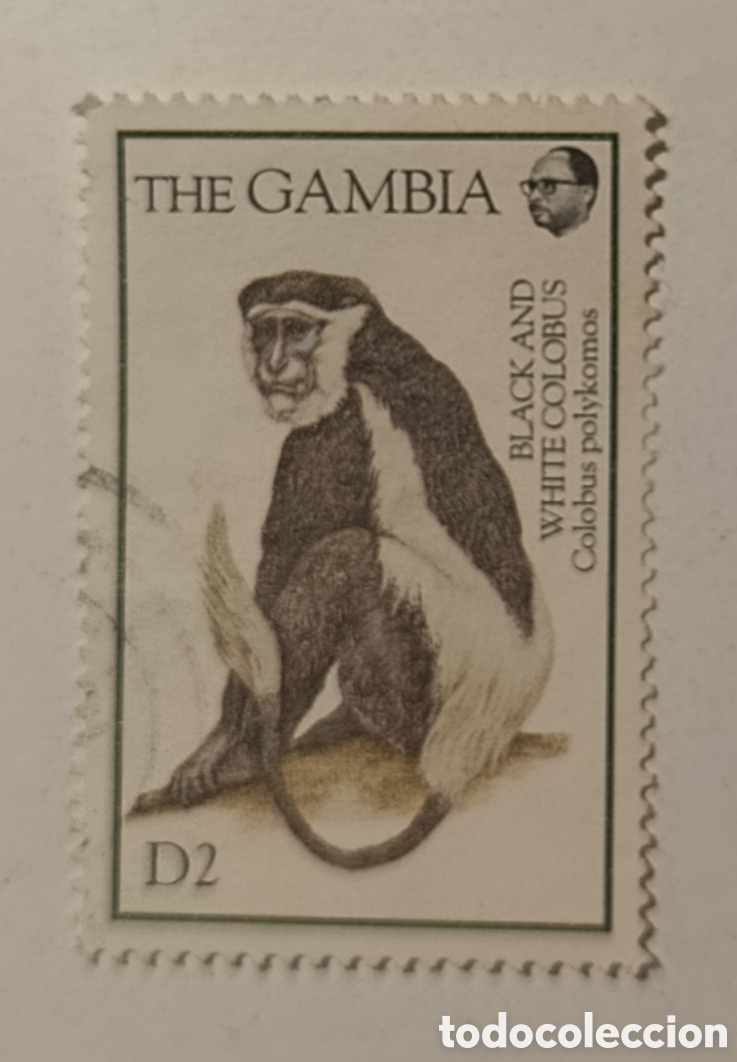 Sellos: GAMBIA sello mono black and White colobus