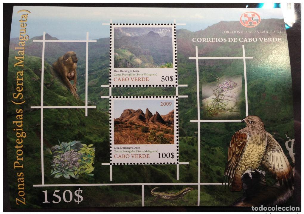 Sellos: Cabo Verde 2009 - Bloque Fauna Flora Zona Protegida Serra Malagueta Rapaces MNH