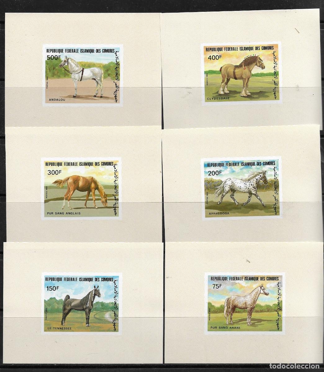 Sellos: COMORES 1983, Ivert 396/403 - CABALLOS - EN HOJAS BLOQUE ESPECIALES SIN DENTAR. MNH.