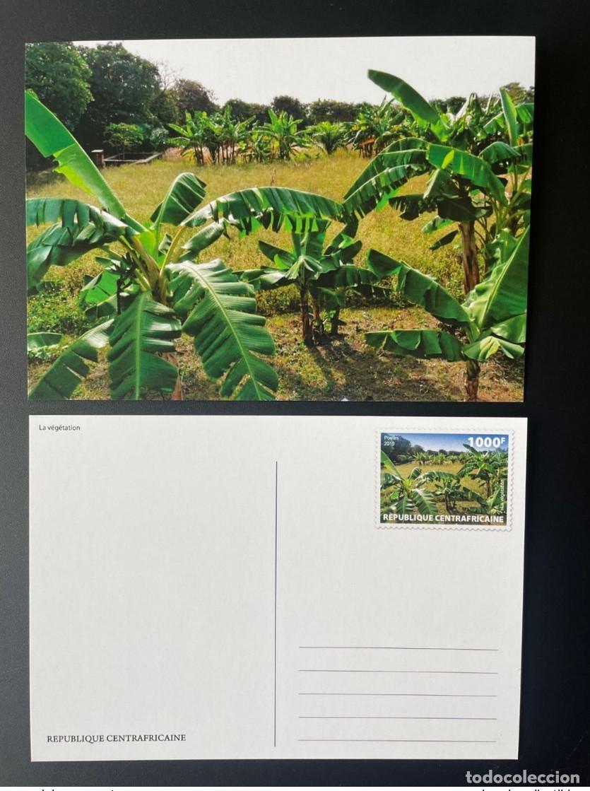 Sellos: Rep&uacute;blica Centroafricana 2019 Mi. 8634 Papeler&iacute;a Vegetaci&oacute;n entera Palmeras
