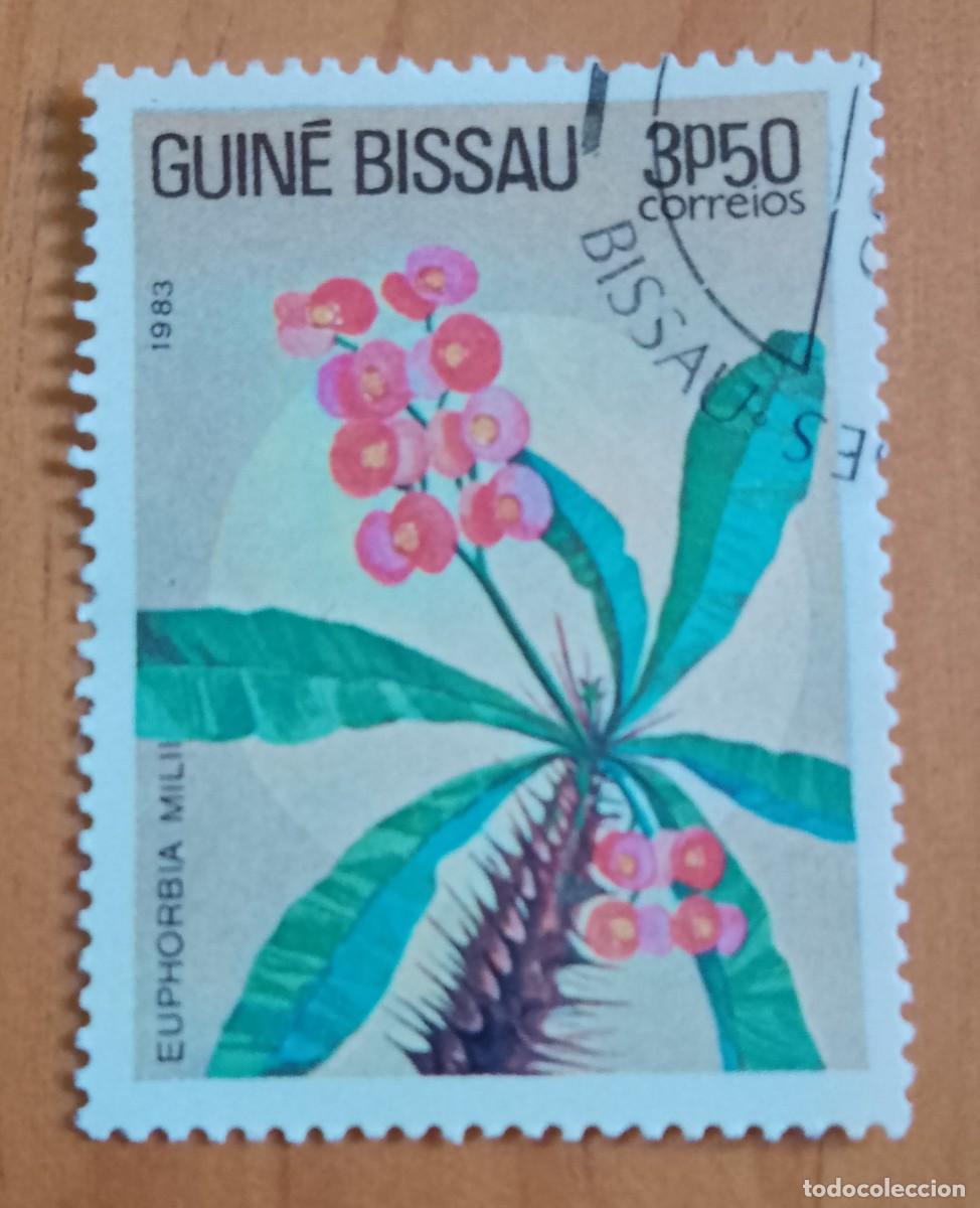 Sellos: GUINEA BISSEAU - V/F 3P50 - A&Ntilde;O 1983 - FLOR, FLORA, PLANTA: EUPHORBIA MILII
